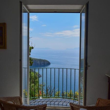 Il Giardino Selvatico Di Succellario - Apartments Barano dʼIschia Exterior foto