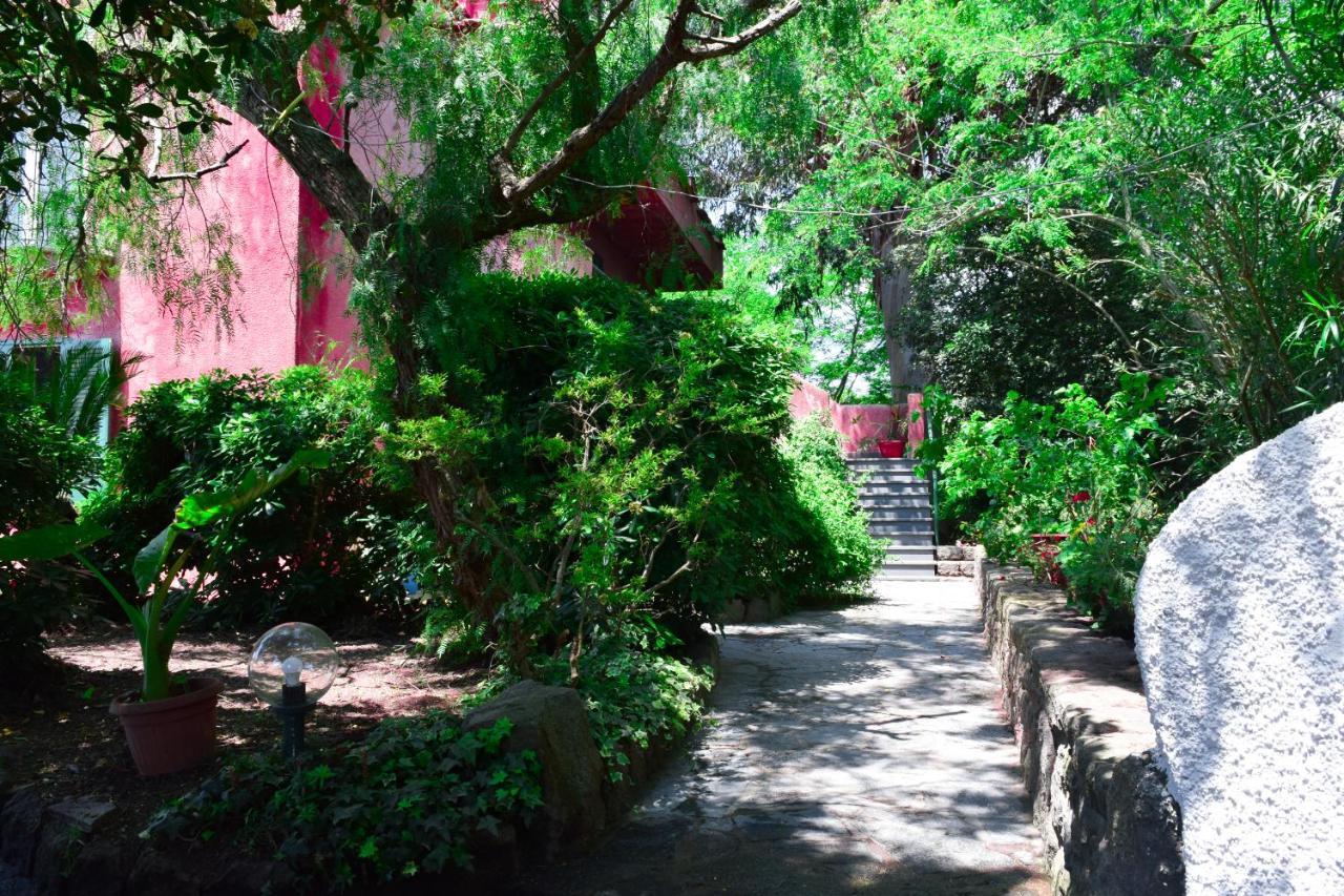 Il Giardino Selvatico Di Succellario - Apartments Barano dʼIschia Exterior foto