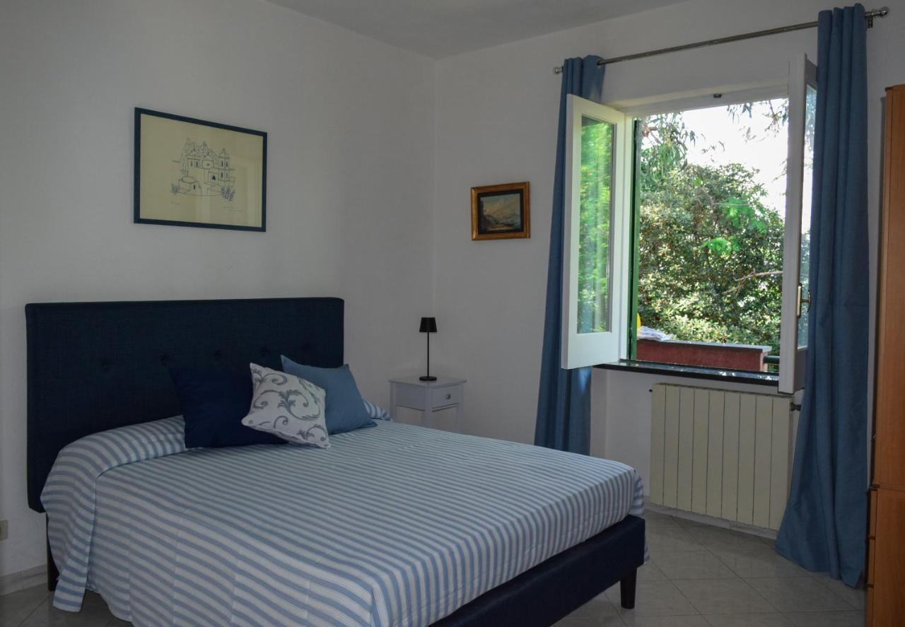 Il Giardino Selvatico Di Succellario - Apartments Barano dʼIschia Exterior foto