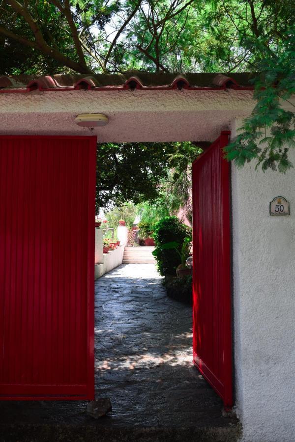 Il Giardino Selvatico Di Succellario - Apartments Barano dʼIschia Exterior foto