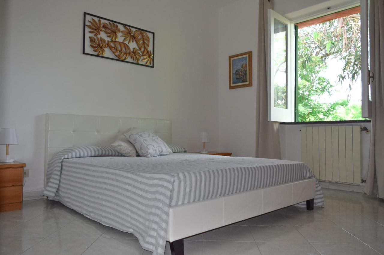 Il Giardino Selvatico Di Succellario - Apartments Barano dʼIschia Exterior foto