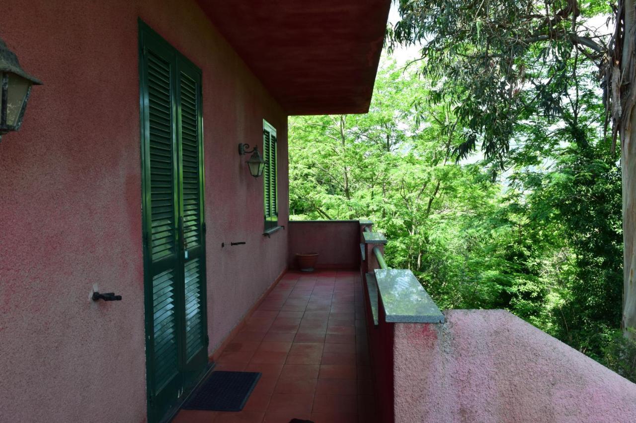 Il Giardino Selvatico Di Succellario - Apartments Barano dʼIschia Exterior foto