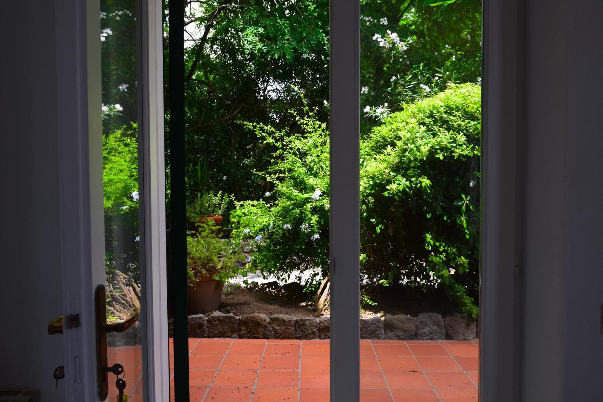Il Giardino Selvatico Di Succellario - Apartments Barano dʼIschia Exterior foto