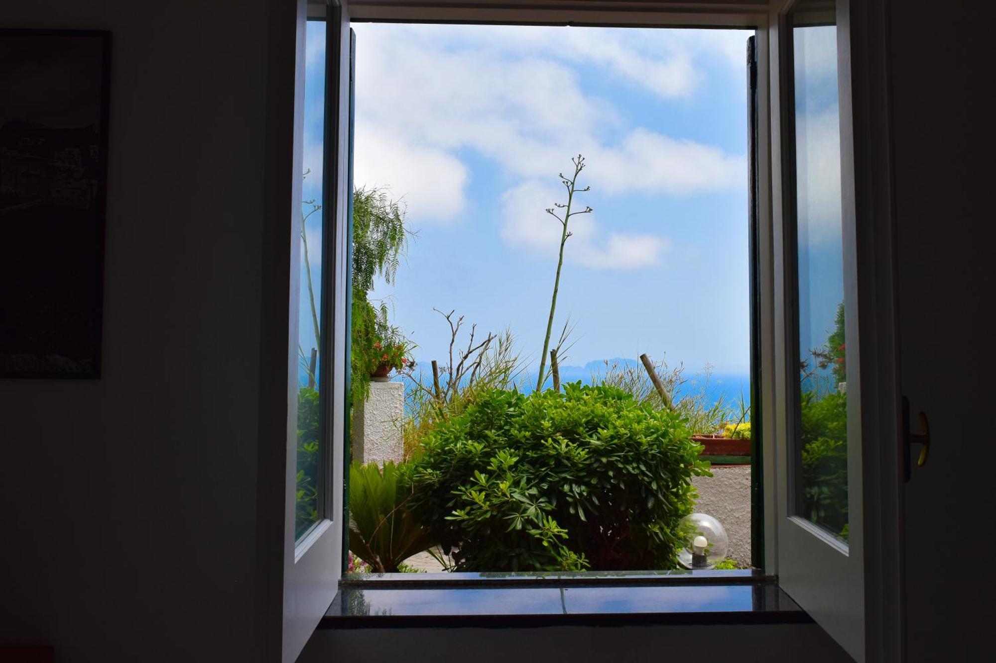 Il Giardino Selvatico Di Succellario - Apartments Barano dʼIschia Exterior foto